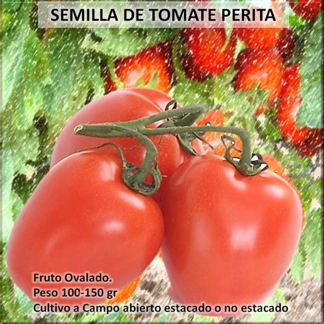 Semillas de Tomate - Semillas