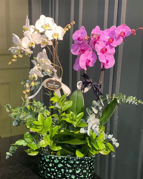 Semin Çiçekevi&Butik Çikolata on Instagram: " Semin Çiçekevi konya.