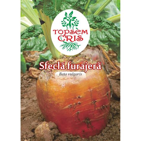 Seminte sfecla furajera - Topsem Cris - 250 g - eMAG.ro