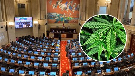 Senado de Colombia adelanta un debate decisivo para regular consumo recreativo de cannabis en adultos