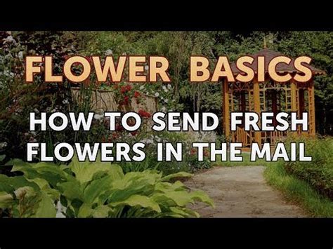 Send flowers via mail. Things To Know About Send flowers via mail. 