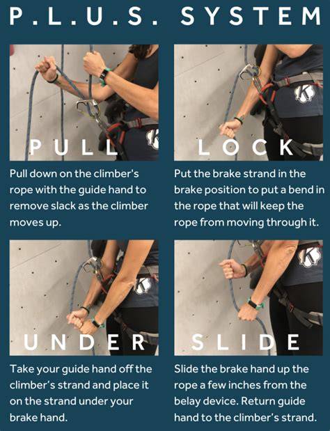 Sender one belay test.  So the plate would probably not work as well w...