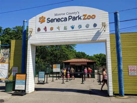 Seneca park zoo rochester ny. He founded the Rochester Park Band, she wrote, and led bands at Seneca Park’s bandstand from 1901 until 1924, when he died. News photographs from the 1920s showed a maypole set up beside the ... 