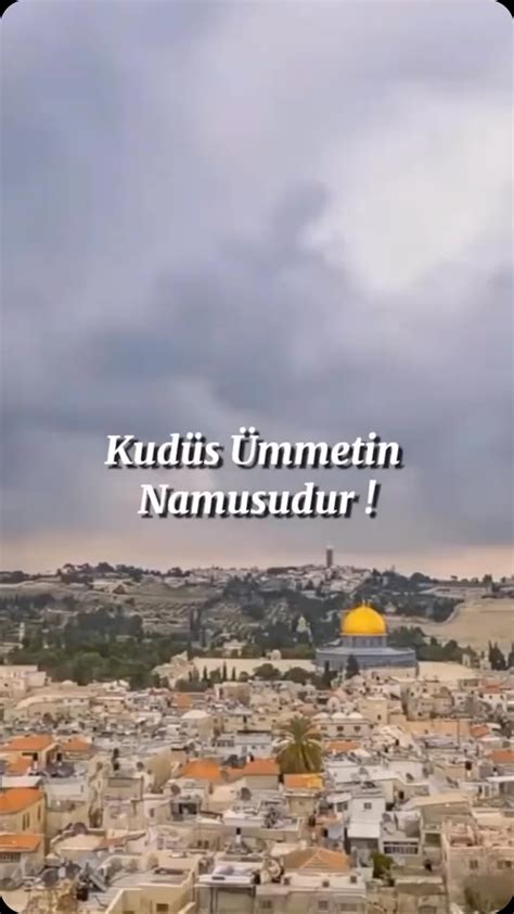 Sengul Vatansever Facebook.