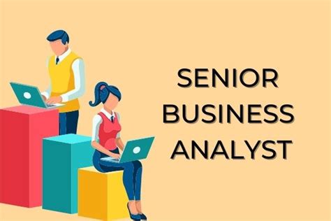 Senior Business Analyst (Roy Hill & Sandfire) - LinkedIn