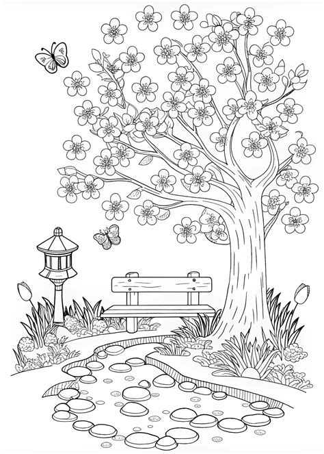 Senior Coloring Pages