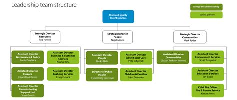 Senior Leadership Team Structure: May 2024 - Somerset