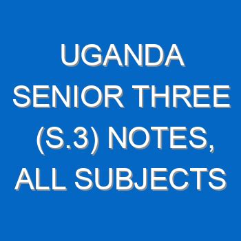 Senior three english notes uganda term 2. .