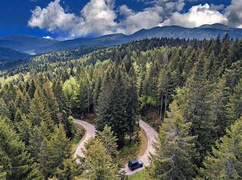 Senkal Halı ve Koltuk Yıkama