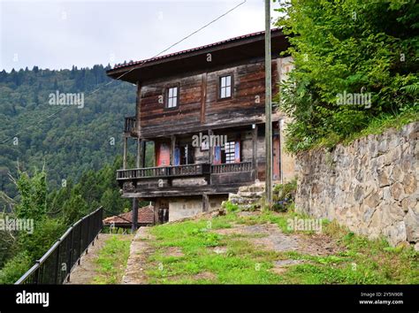 Senkoy Halı ve Koltuk Yıkama