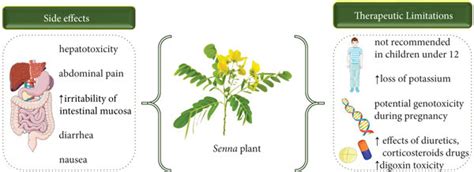 Find out about the possible side effects of SENNA, a common laxative based on plants, and how to control and minimize any discomfort or risk.