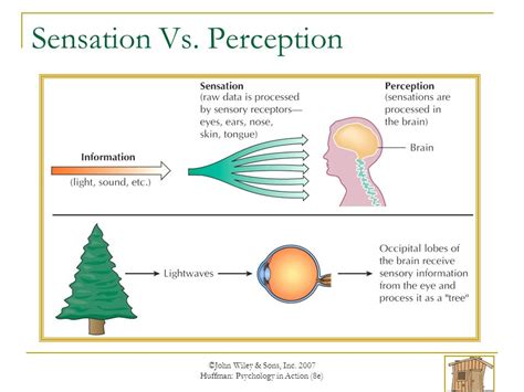Sensation is to perception as quizlet. Perception. the process of organizing and interpreting sensory info, enabling us to recognize meaningful objects and events. How we PROCESS (recognize meaningful objects and events) . product of sensation, cognition, and emotion. Sensory Receptors. sensory nerve endings that respond to stimuli. bottom up processing. 
