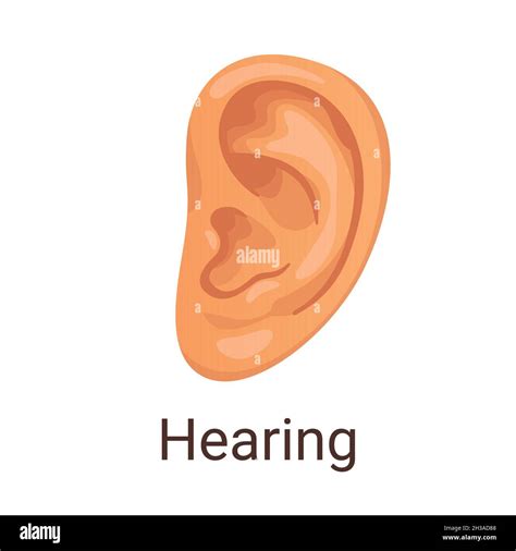 Sense Of Hearing Stock Vectors, Clipart and Illustrations