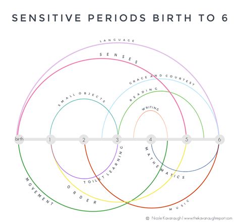 Sensitive Periods from Birth to 6 A Chart and Guide