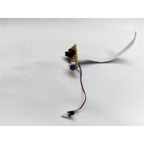 Sensor Brother: What Relation Is My Grandfather’s Brother to Me? image 1