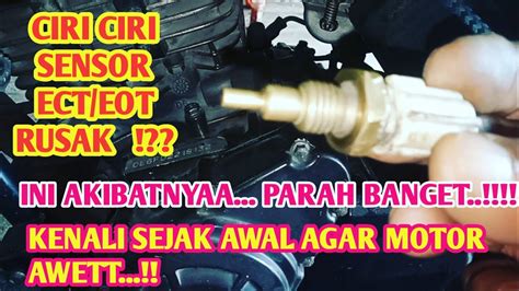 Sensor Eot Beat Fi cara menghindari root android untuk hack & dagangan di tik tok pilihan teen xvideos com Nuansa gotik modern Koreografer aksi image 1