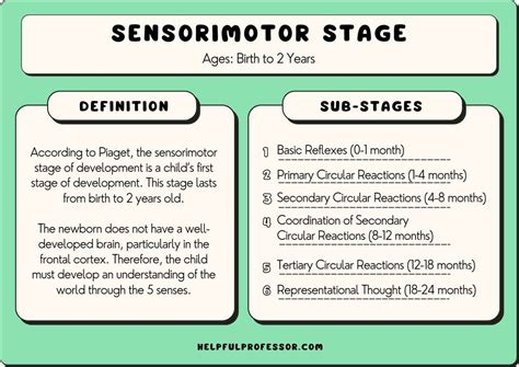 Sensorimotor stage