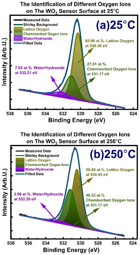 Sensors Free Full-Text Adsorbed Oxygen Ions and Oxygen …