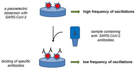 Sensors Free FullText Progress in Biosensors for the PointofCare