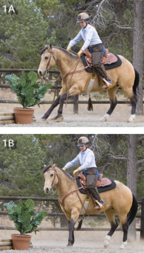 Sensory training simplified a guide to despook your horse. - Handbook of pollution control processes by robert noyes.