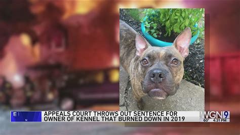 Sentence thrown out for owner of kennel that burned down in 2019