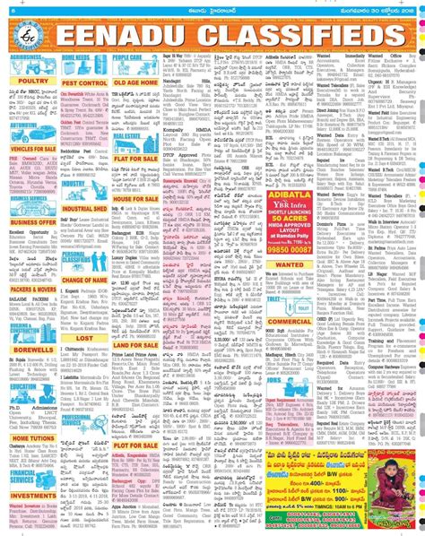 Sentinel record classifieds. Things To Know About Sentinel record classifieds. 