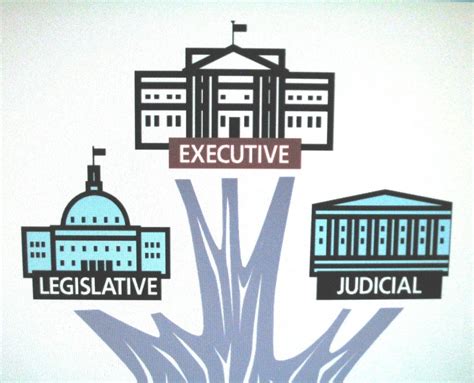 Separation of Powers: Executive and Legislative Branches