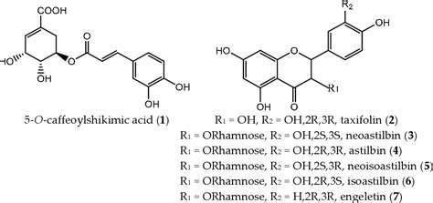 Separation of Seven Polyphenols from the Rhizome of