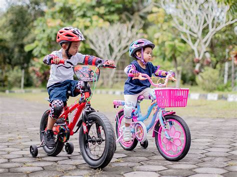 Sepeda Anak Perempuan 10 Tahun - BELAJAR