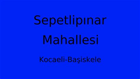 Sepetlipinar Halı ve Koltuk Yıkama