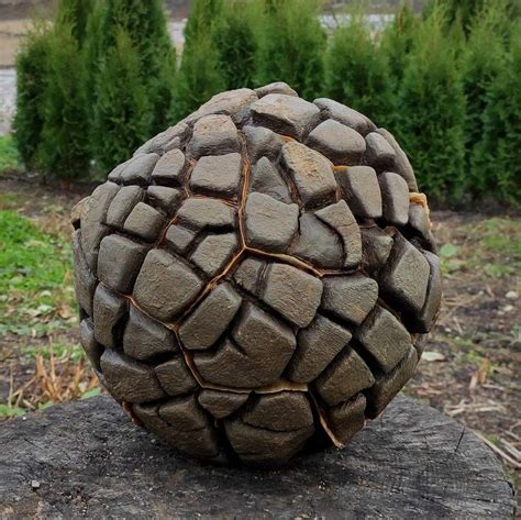These boulders are grey-colored septarian concretion, a sedimentary rock that has had the space between its individual grains filled up by minerals which acted like cement. The degree of cementation varies from being relatively weak in the interior of a boulder to quite hard at its outside rim.. 