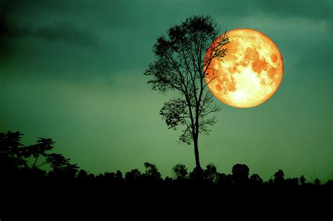 September’s full harvest moon is the last supermoon of the year