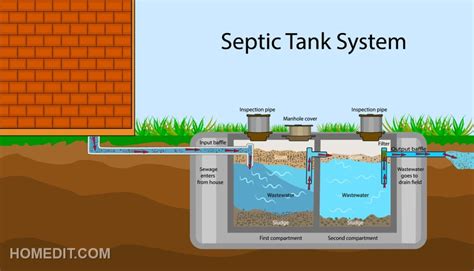 Septic tank treatment.  This technical visualization highlights the two- Septic Cleanin...