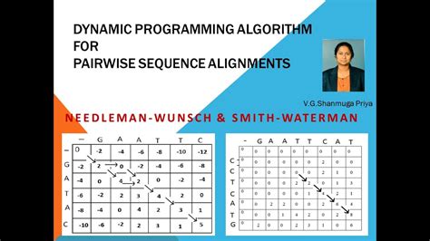 Sequence Alignment and Dynamic Programming - UKEssays.com