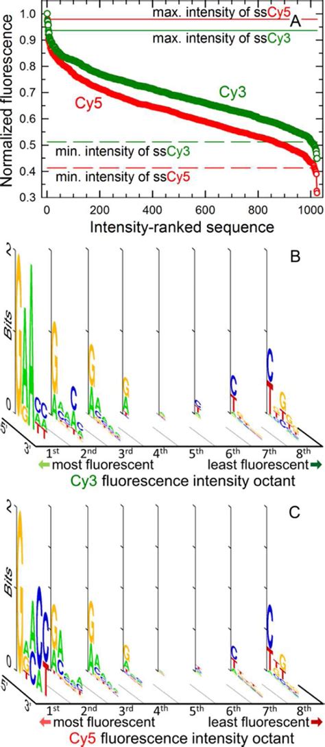 Sequence-Dependent Fluorescence of Cy3- and Cy5 …