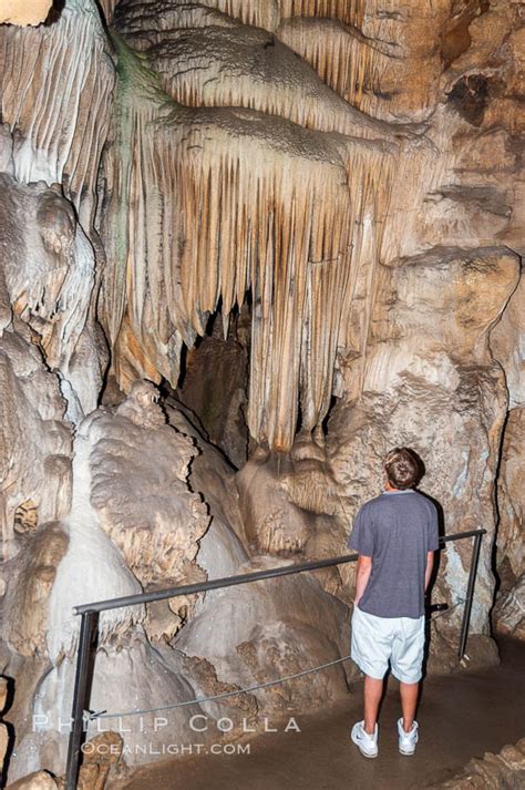 Sequoia National Park, California, Crystal Cave, The Organ, RPPC …