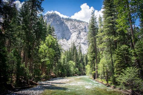 Sequoia and kings canyon national parks your complete hiking guide. - Rough guide to the music of merengue bachata cd.