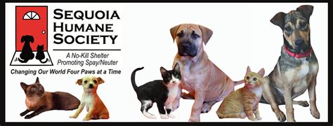 Sequoia humane society. Things To Know About Sequoia humane society. 