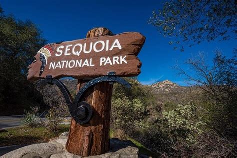 Sequoia national park tripadvisor. Things to Do in Sequoia and Kings Canyon National Park, California: See Tripadvisor's 20,530 traveler reviews and photos of Sequoia and Kings Canyon National Park tourist … 