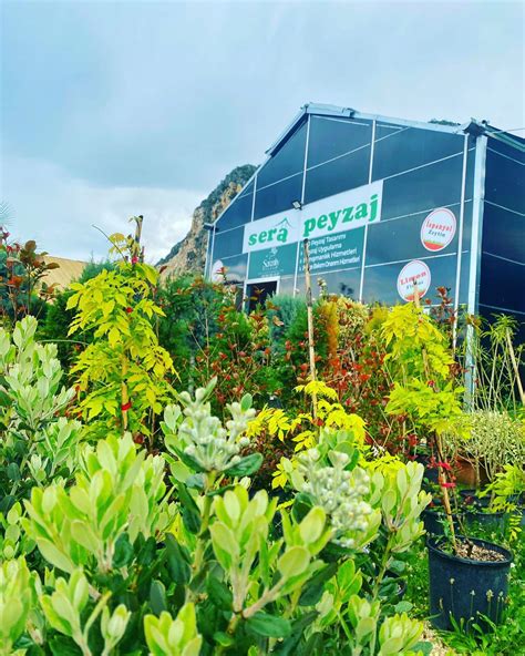 Sera Peyzaj Projesi WorldPlaces. 