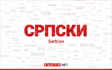 Serbian Onlyfans Leak