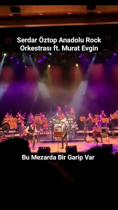 Serdar Öztop ArtistInfo.