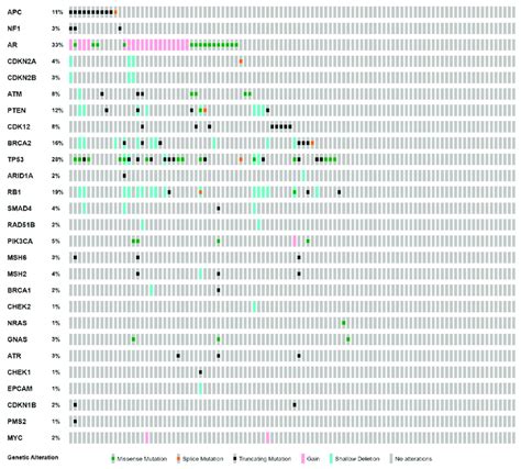 Serial ctDNA profiling in patients with metastatic prostate cancer ...