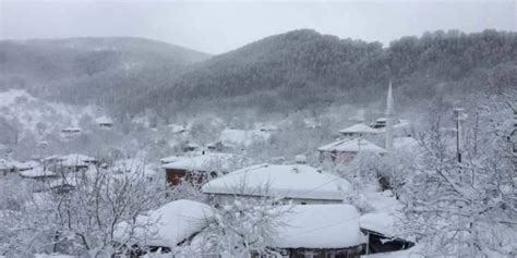 Sermayecik Halı ve Koltuk Yıkama