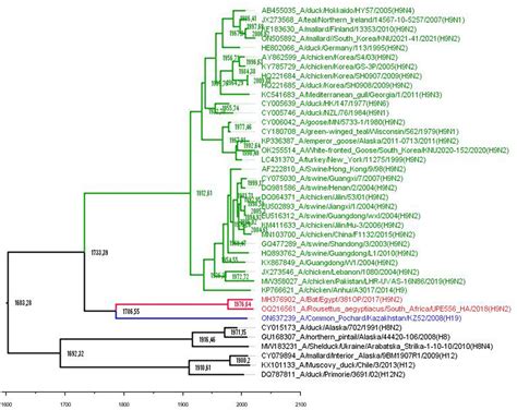 Seroepidemiological evidence of avian H4, H5, and H9 influenza ... - PubMed