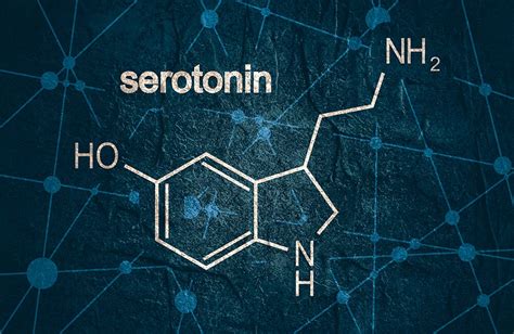 Serotonin Functions Normal Range Side Effects and More