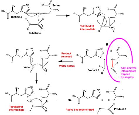 Serpin Halı ve Koltuk Yıkama