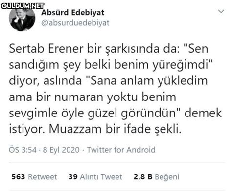 Sertab Erener bir şarkısında da " sen sandığım şey belki benim . 