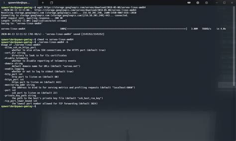 Serveo down. .  Serveo is a dedicated remote port forwarding server.  ...