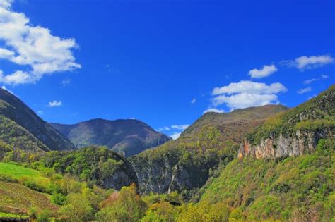 Servetiye Halı ve Koltuk Yıkama